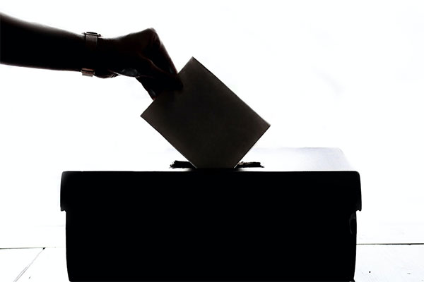 (post image)Why Should I Vote?