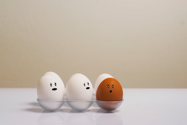 (post image)Was it About the Eggs? Three Months into the Trump Administration